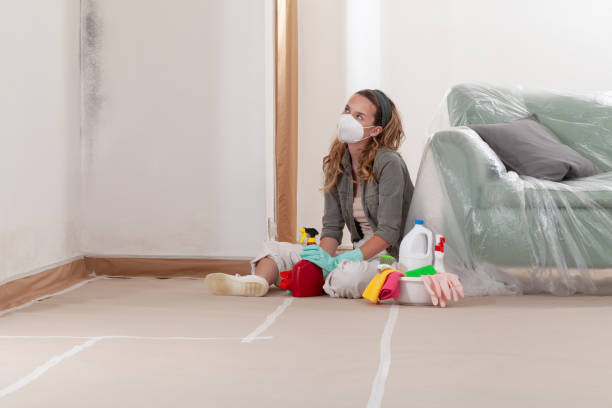 Reliable Mold Remediation contractor in Centreville, VA by Cheap Mold Removal